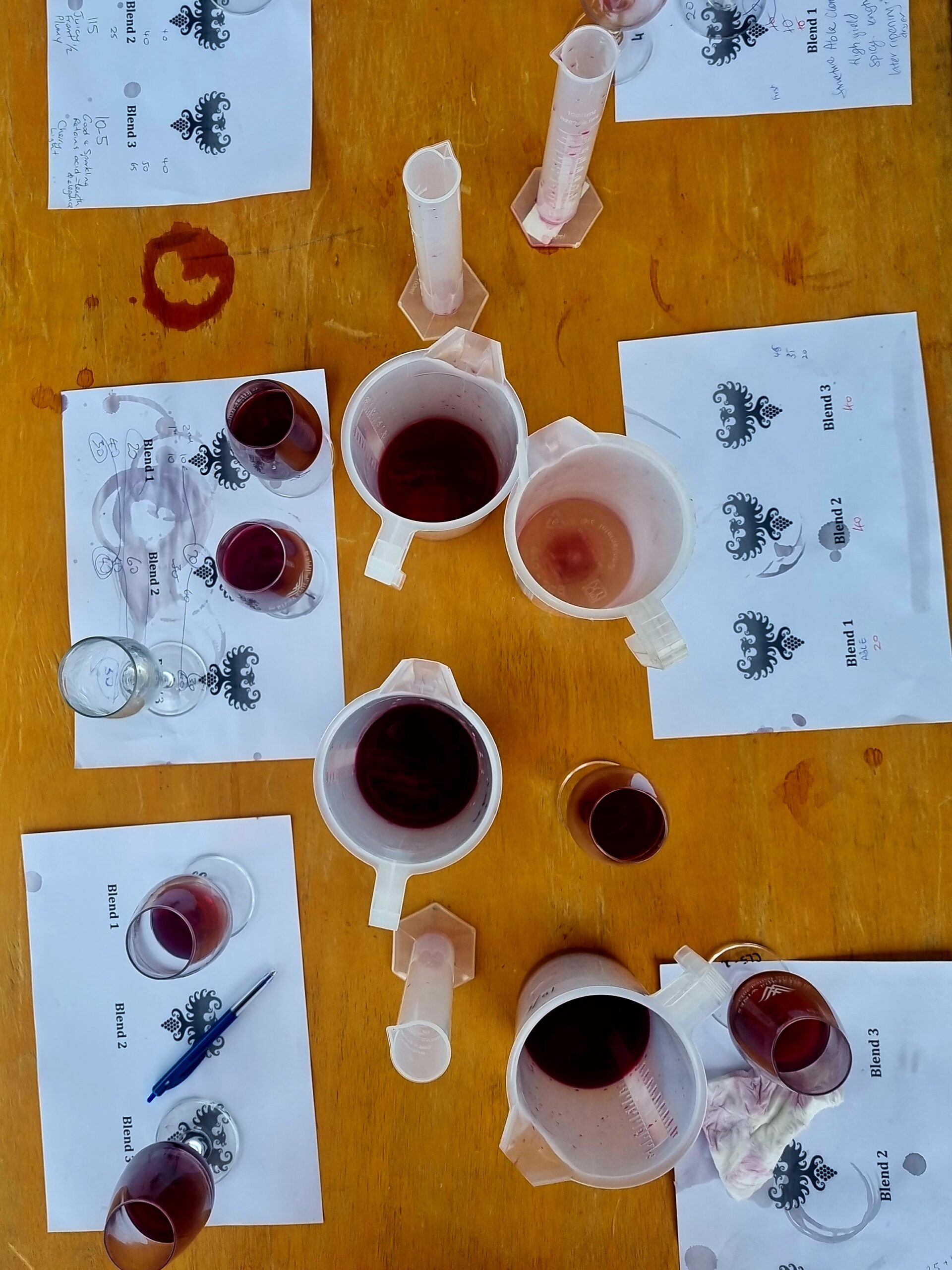 Blend your own Pinot at Matahiwi Estate